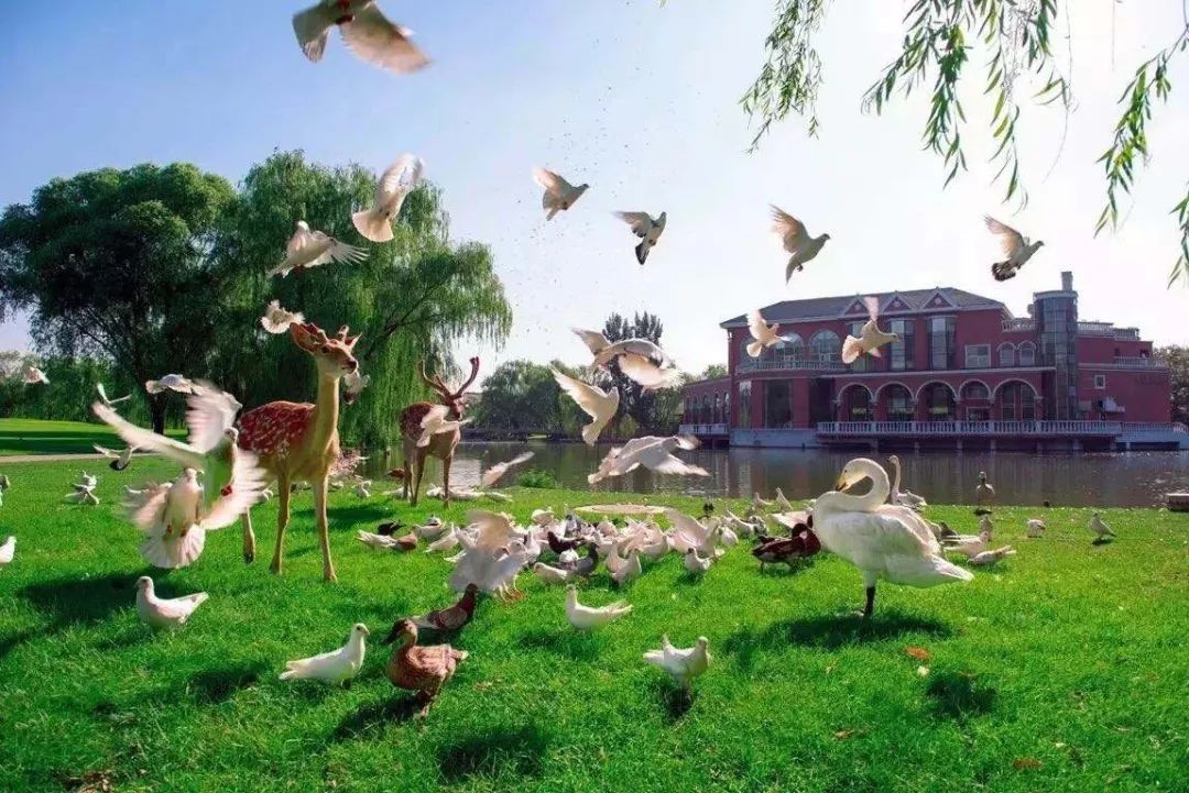 北京冬天适合泡温泉的地方,北京冬天泡温泉的好去处