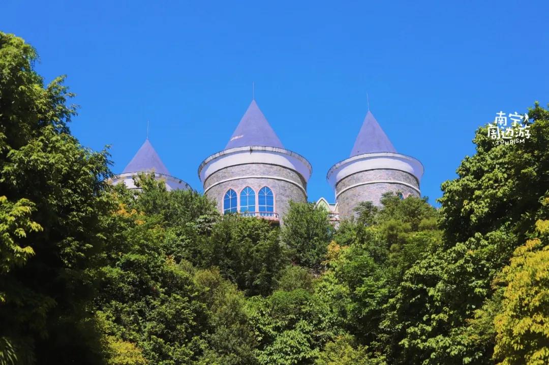 南宁花海公园在哪里,南宁嘉和城附近花海