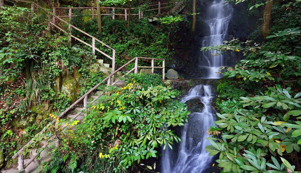 武夷山三姑千禧酒店,武夷山千禧度假