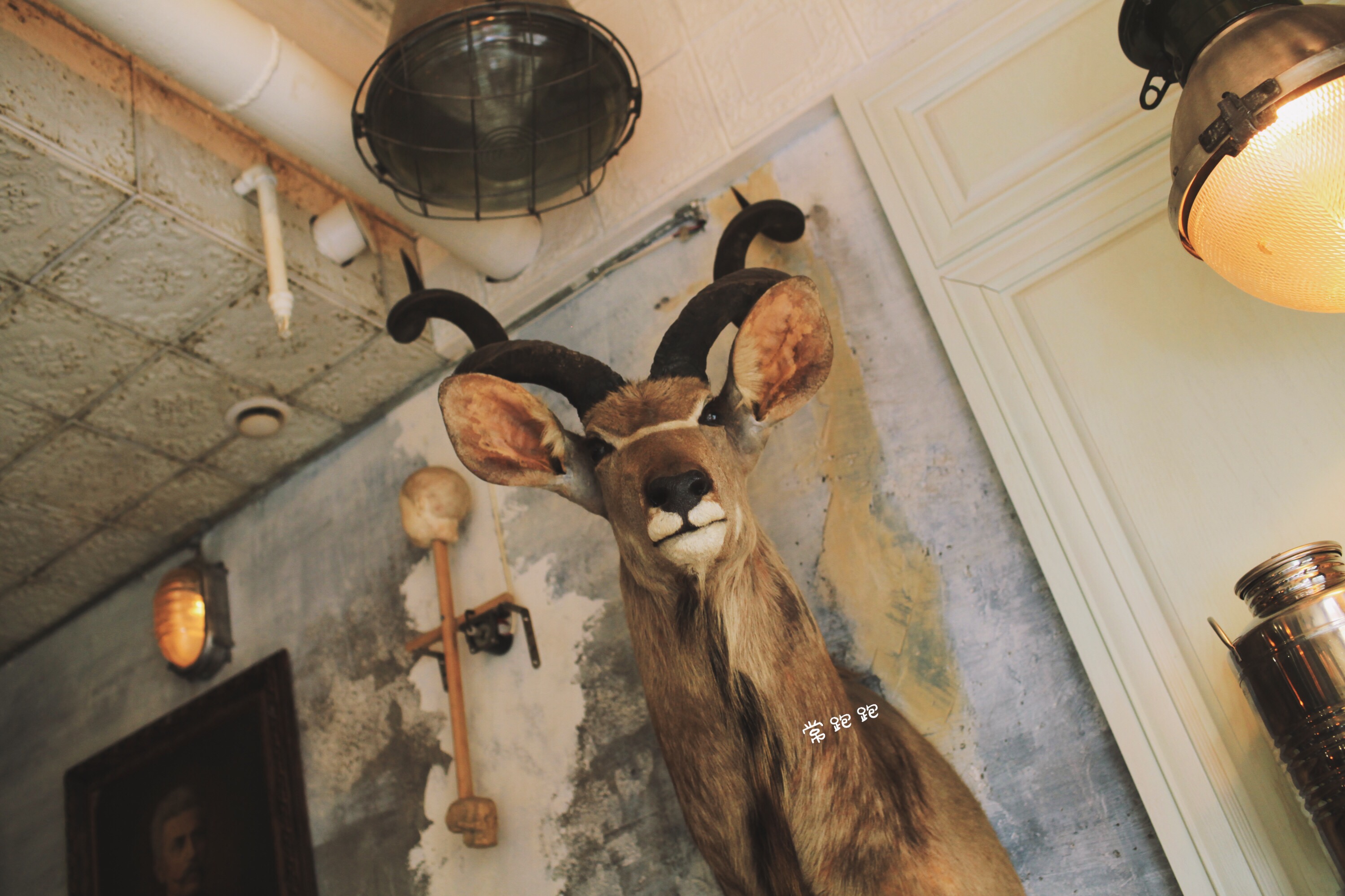 成都网红火锅烧烤,成都烧烤串串推荐