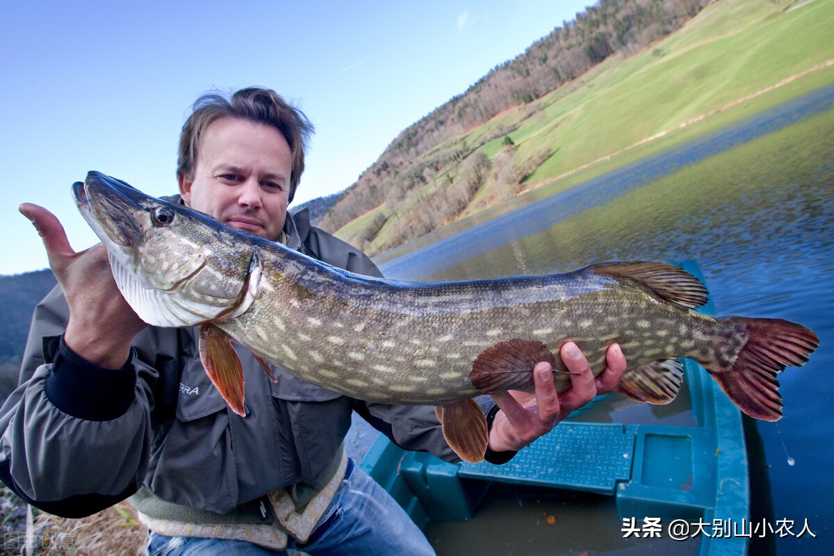 钩子挂泡沫钓鱼,泡沫挂钩能钓鱼吗