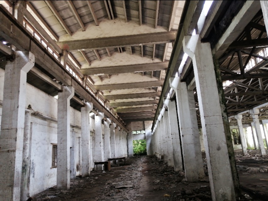 扫街日记100篇,扫街日记视频