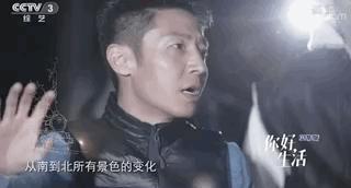 美好的生活就是美,美好的生活就是有你