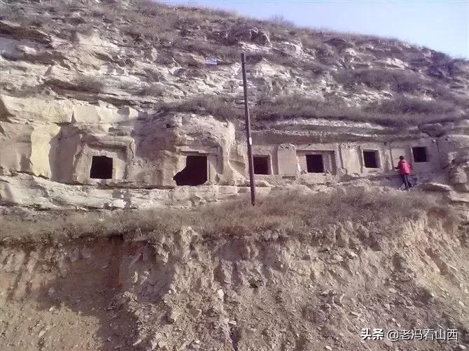 山西忻州静乐天地藜麦,山西静乐县杂粮