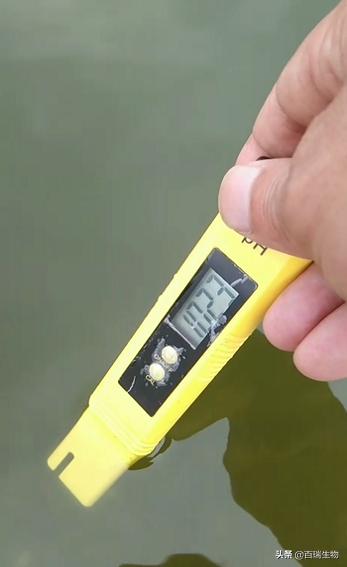 酸爽降解毒素,酸爽解毒