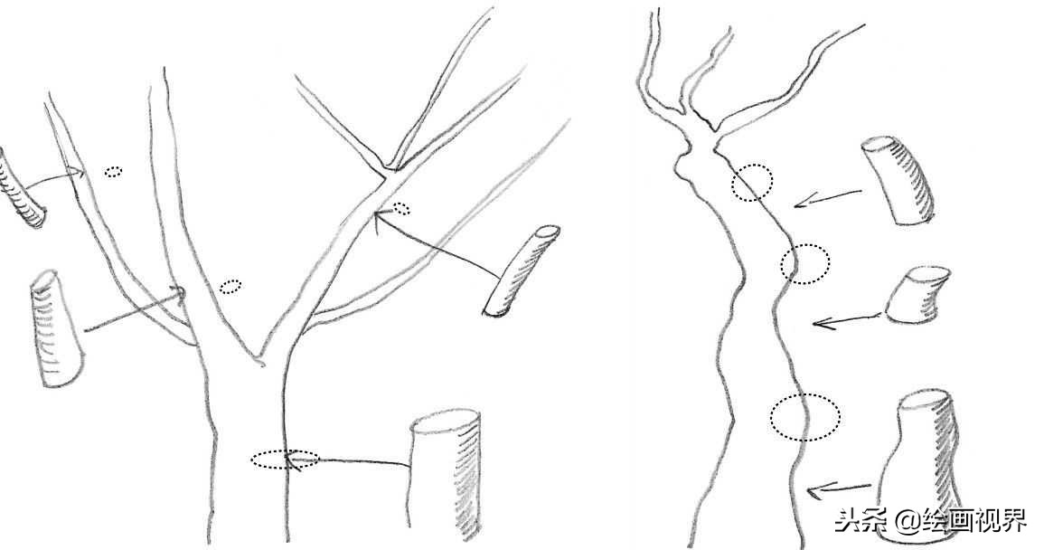 钢笔画入门教程花鸟,钢笔画入门基础教程人物