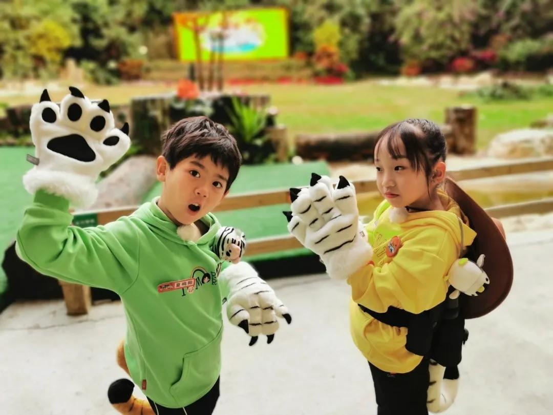 大熊猫相关知识,大熊猫百科知识详细介绍