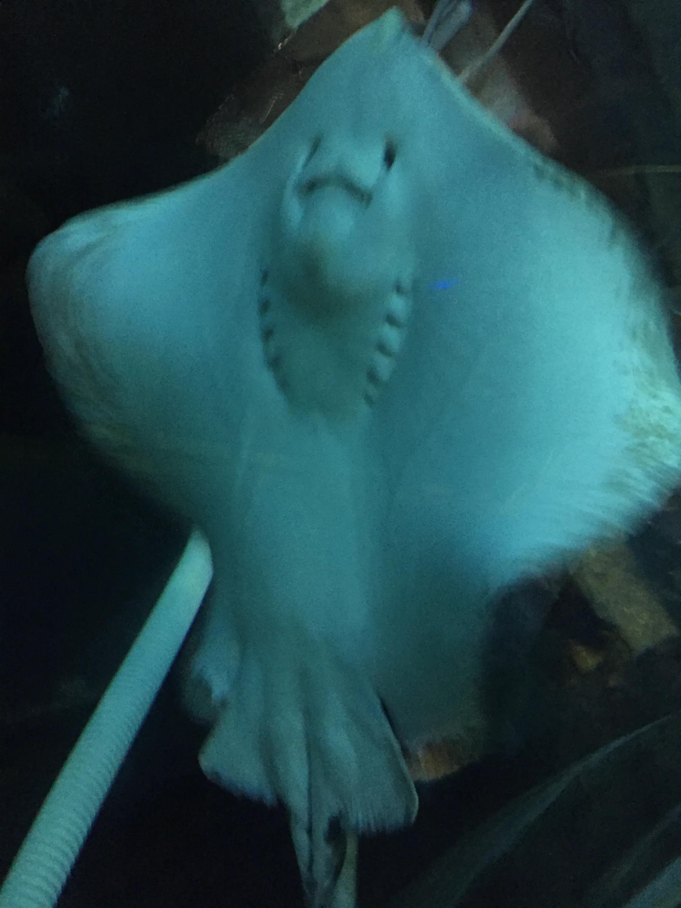 富国海底世界京津冀,富国海底世界门票京津冀卡优惠