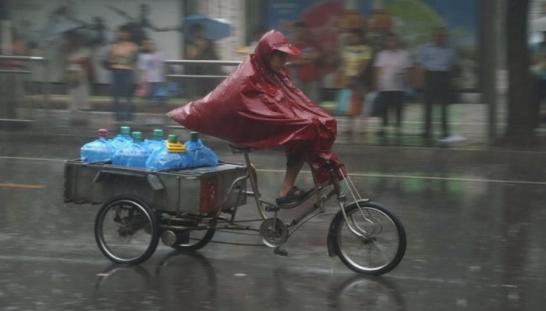 井柏然全靠奶奶捡破烂,井柏然被奶奶捡垃圾养大