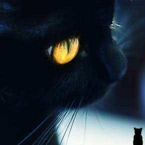 四本完结多年依旧巅峰的神级小说，粉丝念念不忘，每本都值得十刷