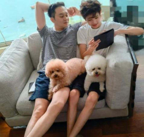 袁咏仪购物狂,袁咏仪向宋佳炫耀包