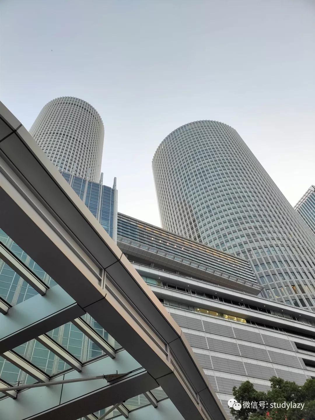 日本名古屋鲸,日本名古屋樱花