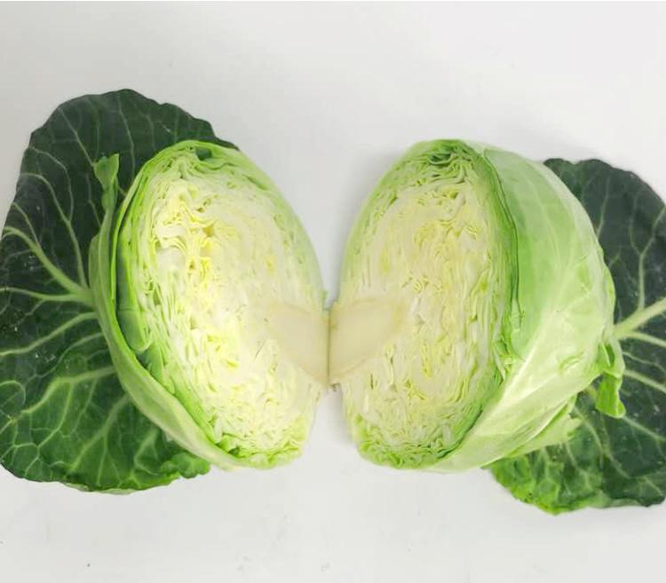 值得种的蔬菜推荐,好吃又四季都能种的蔬菜有哪些