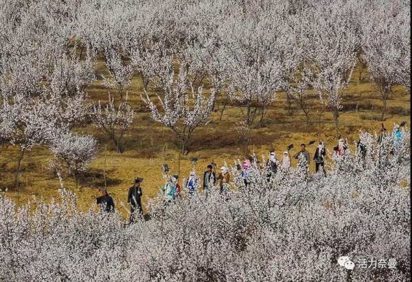 45万奈曼人的名片，太漂亮了！除了中华麦饭石你还知多少？