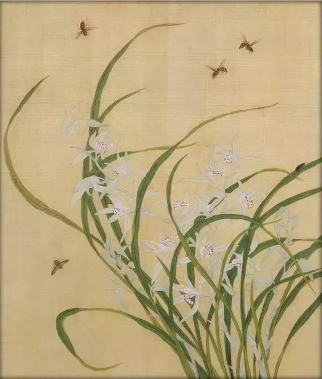 最漂亮的24尺写意兰花图片,最全历代名家兰花图看了还想再看