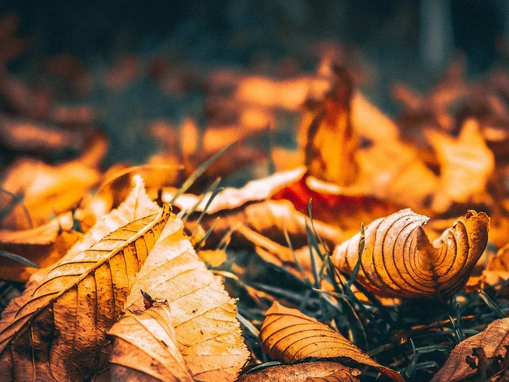 我的心是玻璃做的是什么意思,我的心是玻璃做的完整版