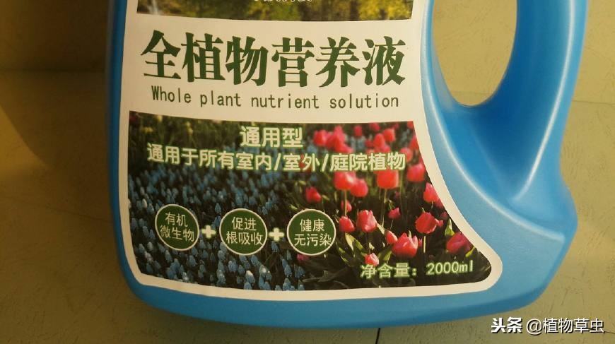 水养植物液体营养液,最厉害的养花营养液是什么