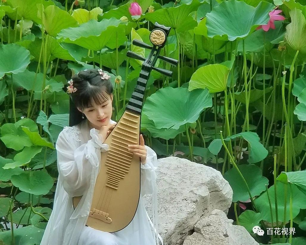 邯郸市女性摄影家,邯郸市女子摄影协会