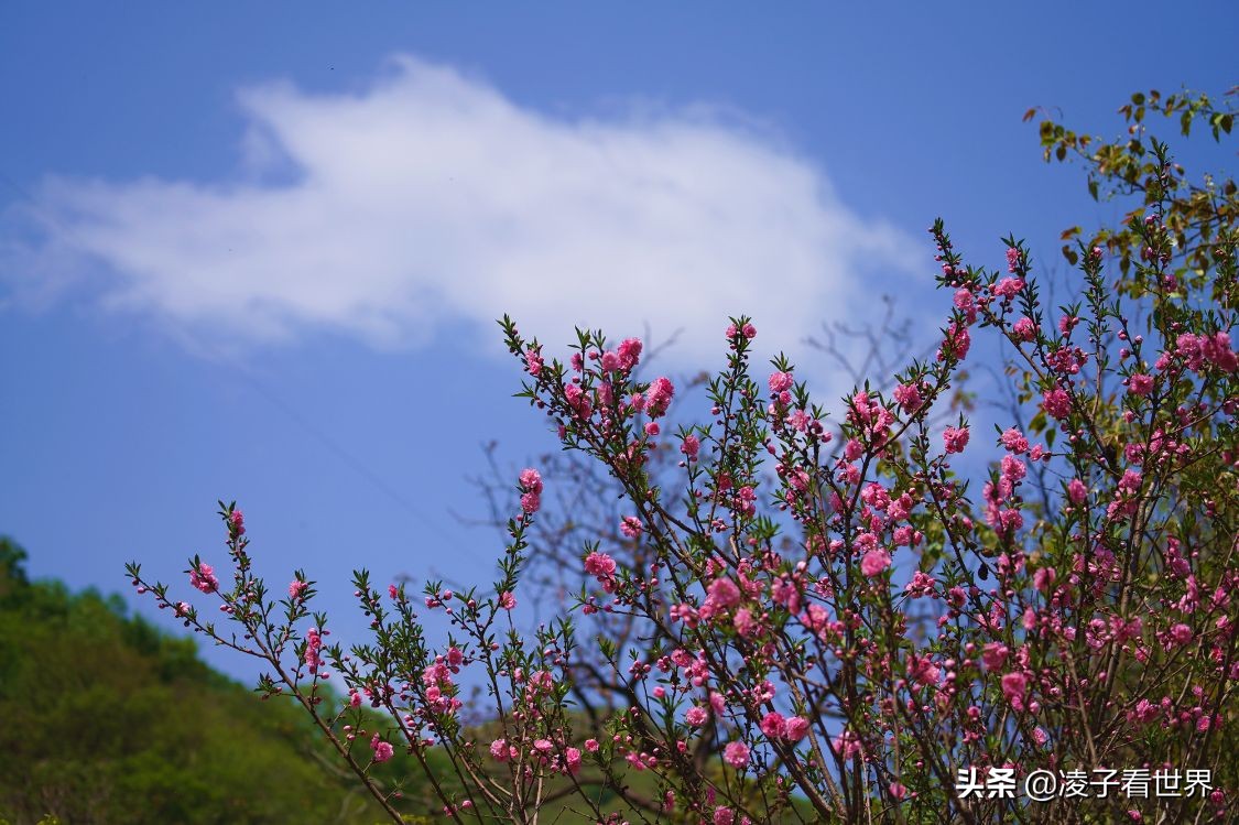 京郊响水湖旅游攻略,响水湖长城一日游感受