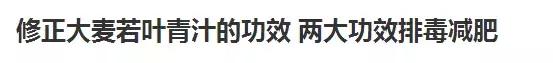 全优植物益生元青汁减肥有效果吗,青汁和抹茶粉哪个减肥好