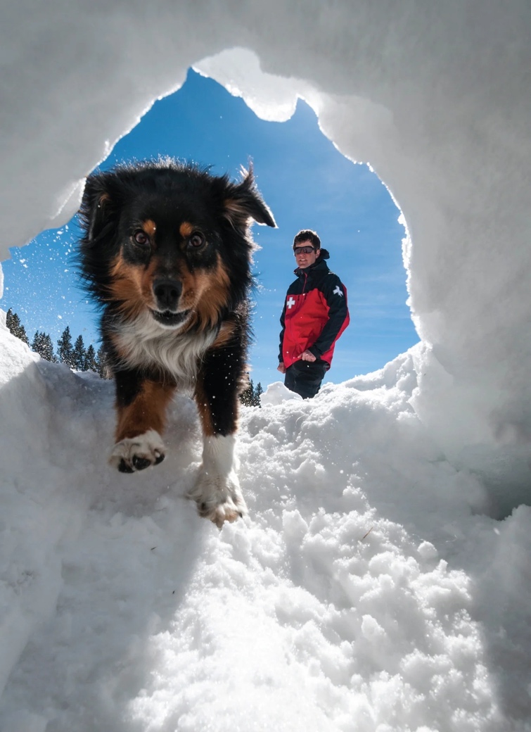 这种上古与人同葬的动物,还能帮你减肥、长寿?