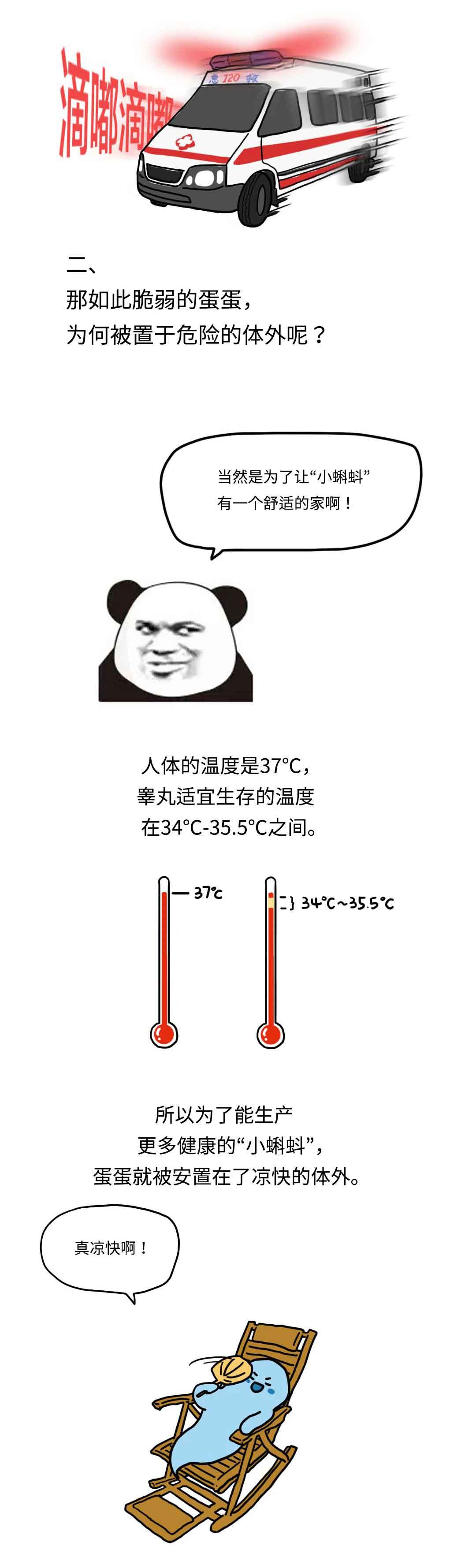 男生被踢裆部有多疼,男生被踢中裆部到底有多疼