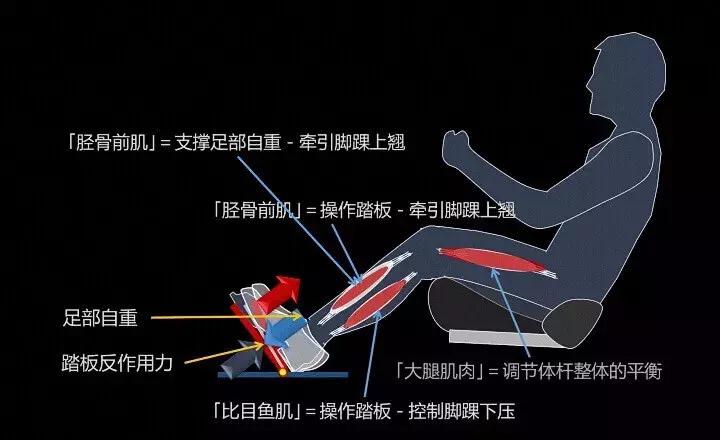 M-Talk丨日南至，日短之至，日影长之至，故曰“冬至”