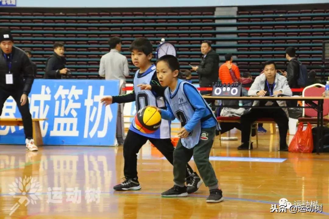 中国篮球名宿走进学校,中国篮球名宿26分