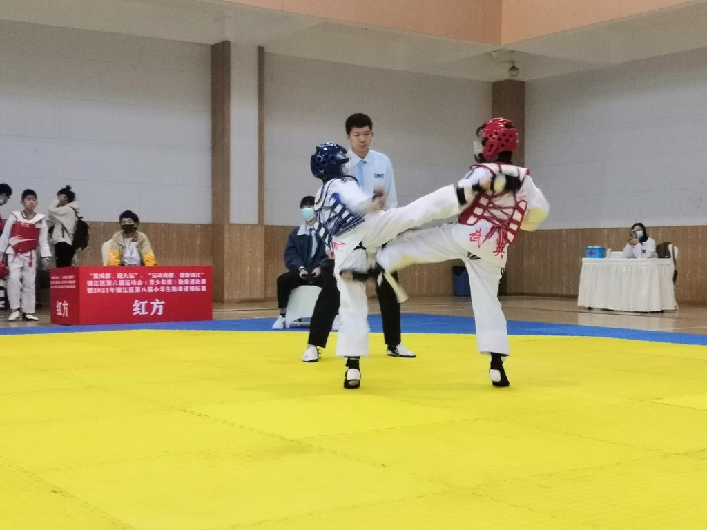 四川省中小学跆拳道锦标赛,成都高新区跆拳道锦标赛