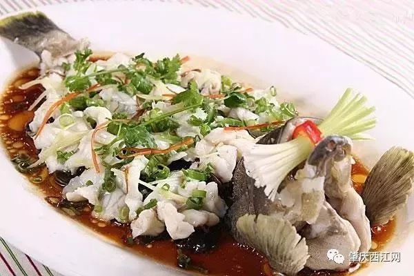 肥美的河鲜,肇庆哪里有河鲜卖