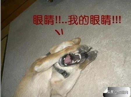 MAC城市限定系列“太土味”？进来看点正确的包装设计洗洗眼