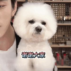 好文分享:12000字全面解读完美日记:从组织架构到增长策略