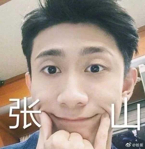 张一山和杨紫走到一起了吗,张一山和杨紫最后在一起了吗