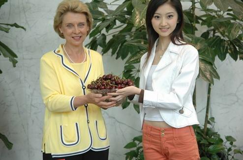 景甜的十年演艺之路,景甜2017年人气爆表势头强劲