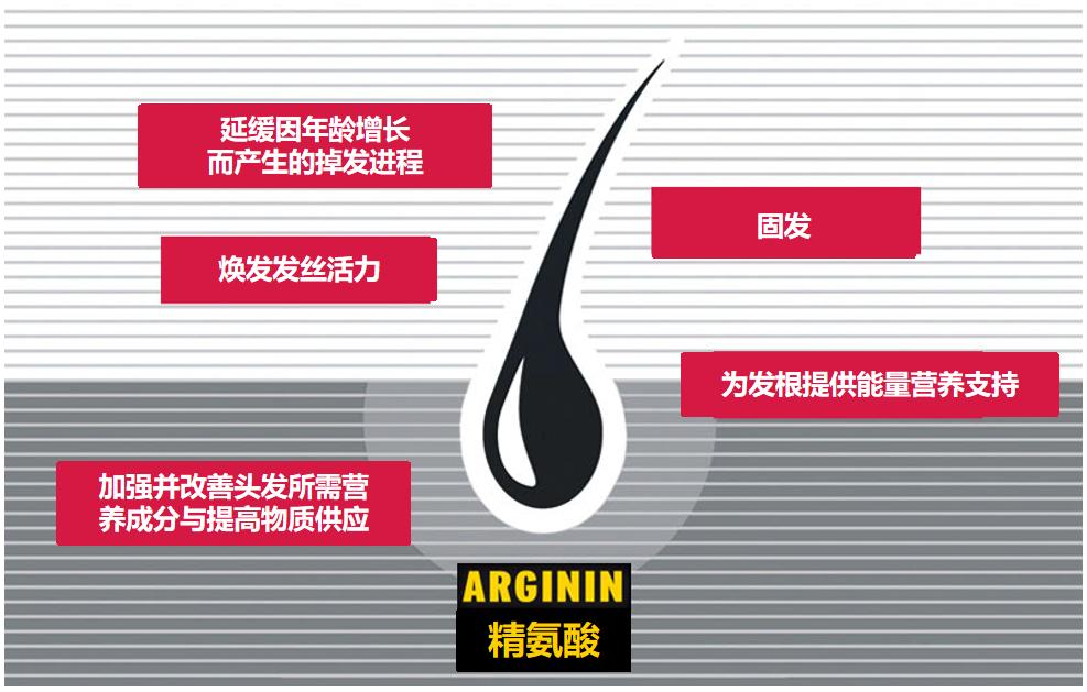 快来自救，拒做秃头的小北北