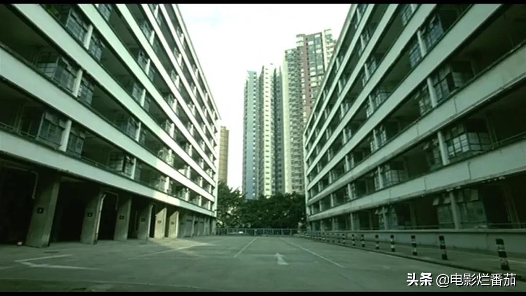 藏尸3年电影解说,香港恐怖片前十排行借尸还魂