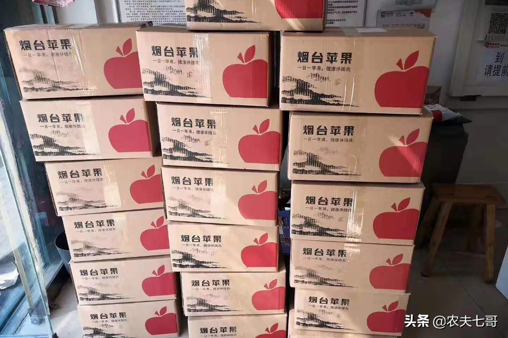 苹果怎么快速打包到果袋,苹果果农套袋子最快方法