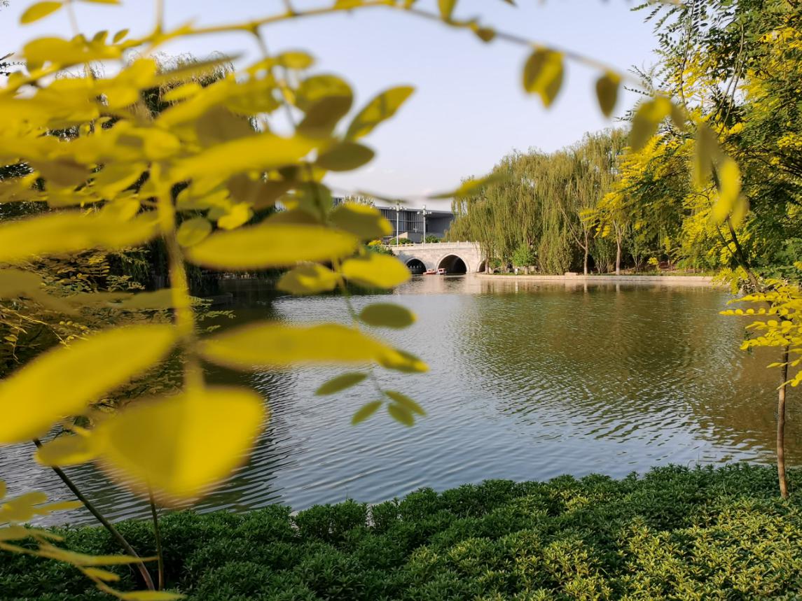 荣耀x10max和华为mate20x5g,荣耀x10测评对比华为畅享20