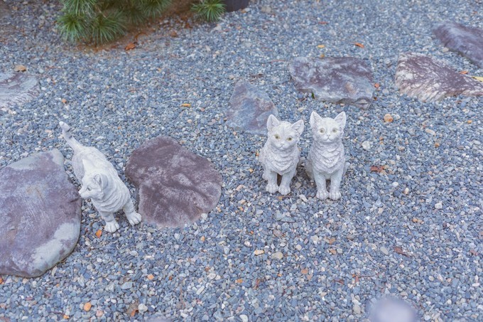 伏见稻荷大社怎么去清水寺,伏见稻荷大社到清水寺远吗