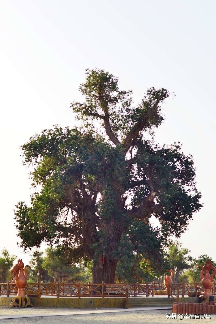 有了这攻略,自驾*藏西**游省心很多