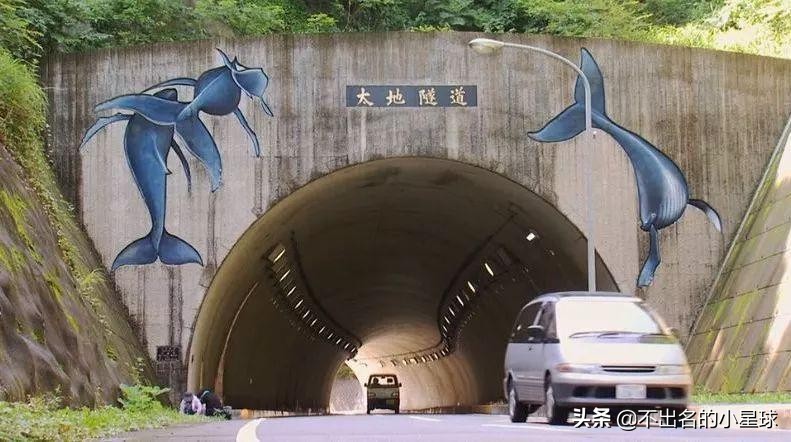 日本海豚湾的恐怖故事,日本海豚湾的恶行是被谁揭开的