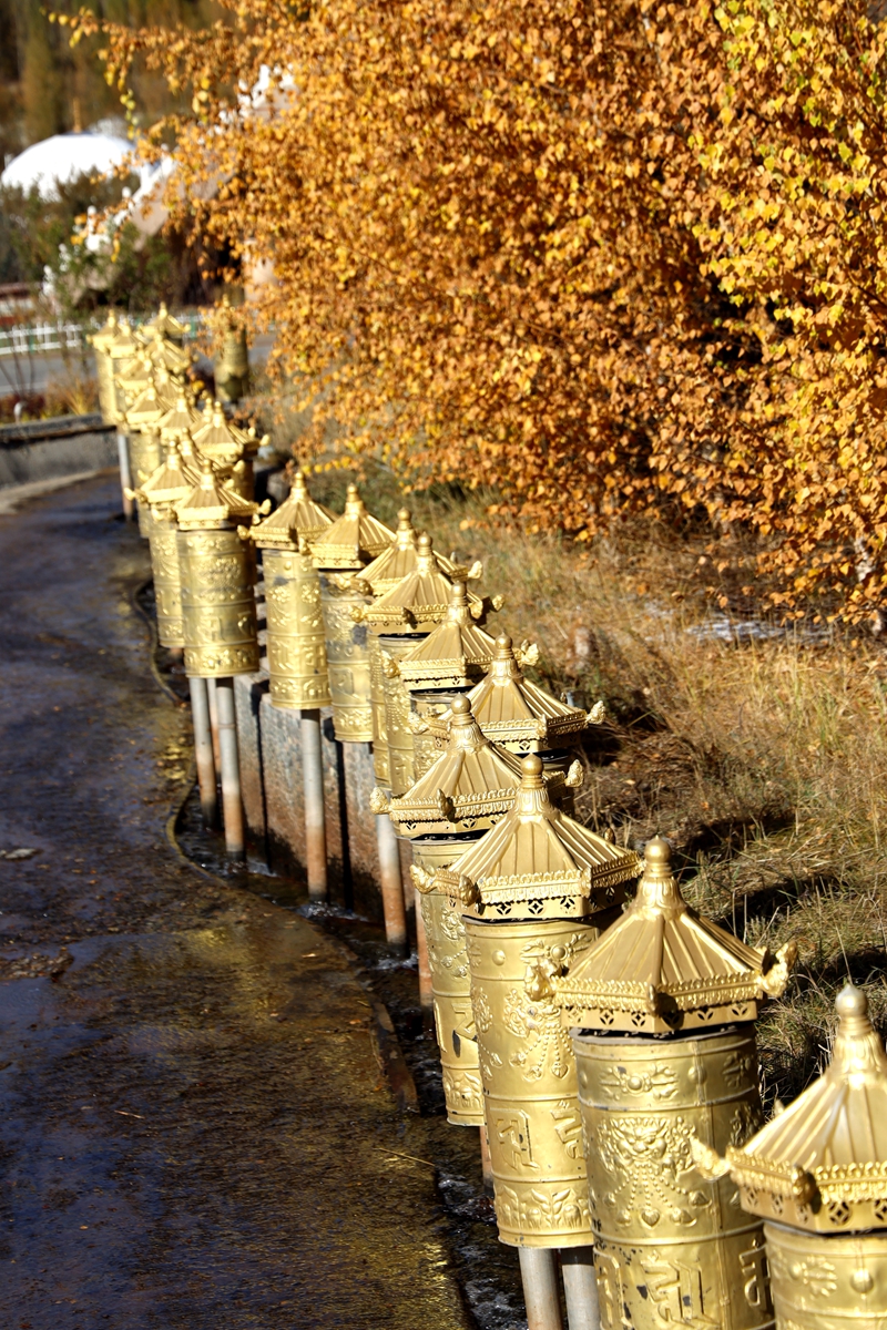 汉族女学藏传佛教,少数民族佛教