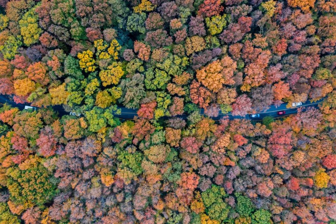 南京是属于哪个省的,南京是现在的哪个城市