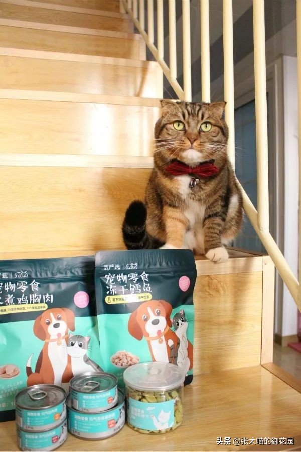 网易严选猫咪冻干零食,网易严选猫零食罐测评