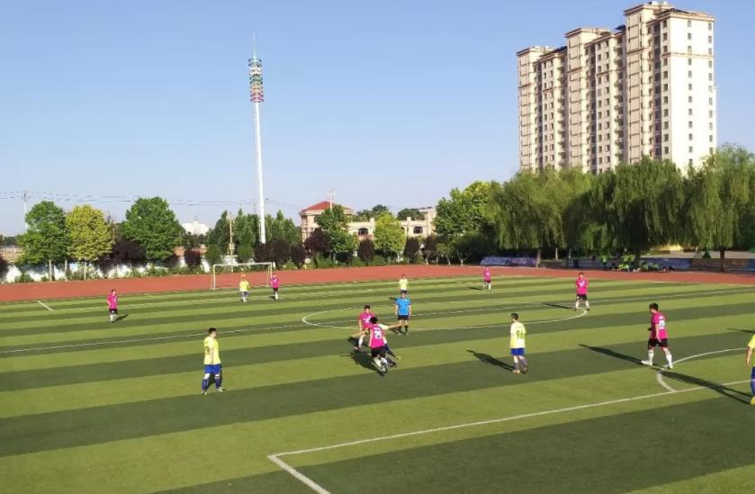 丛台活分子篮球比赛,丛台酒活分子v8整箱