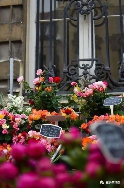 花店如何有效做营销,花店特色营销方案