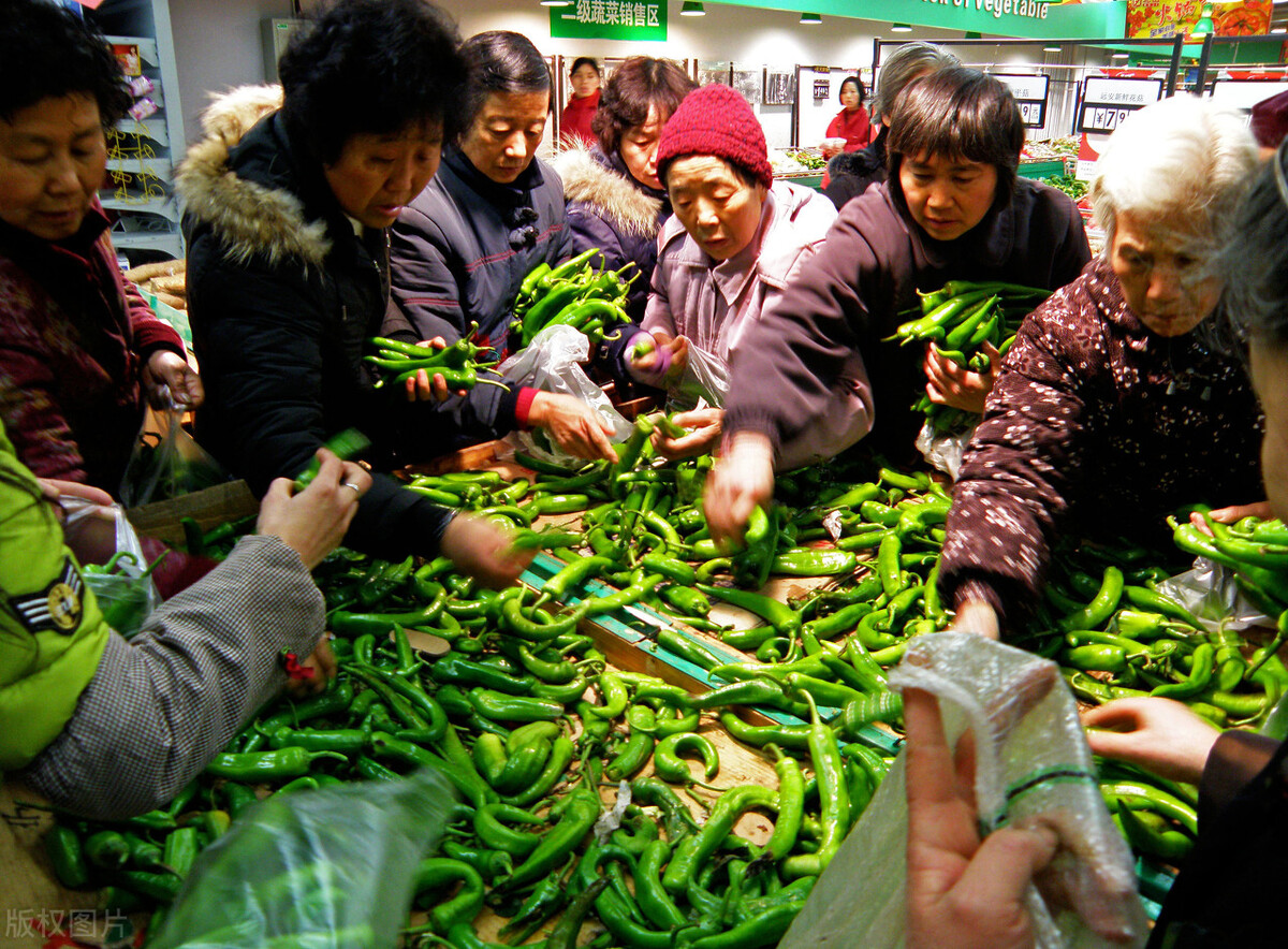 山东小姑娘卖蔬菜一年赚了150万,河南大姐卖青菜一年赚一百多万