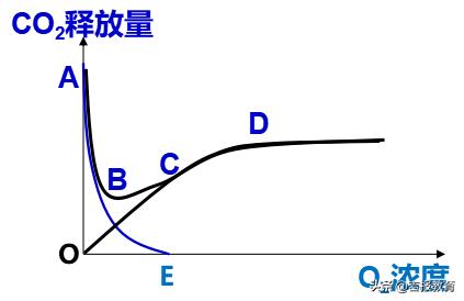 高中生物细胞呼吸作用,高中生物细胞呼吸