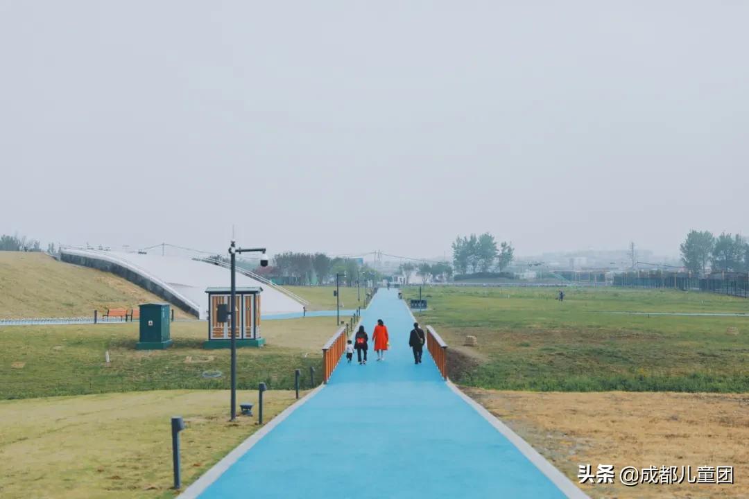 空港花田和空港体育公园哪个好,空港运动公园看飞机攻略