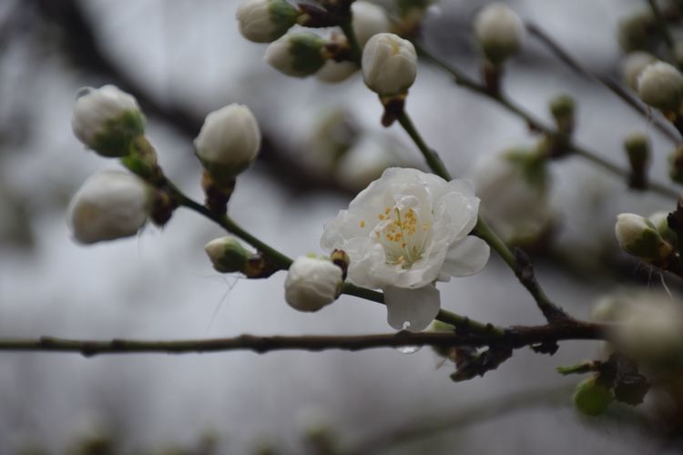 陕西印象装饰有限公司,陕西印象传媒怎么样